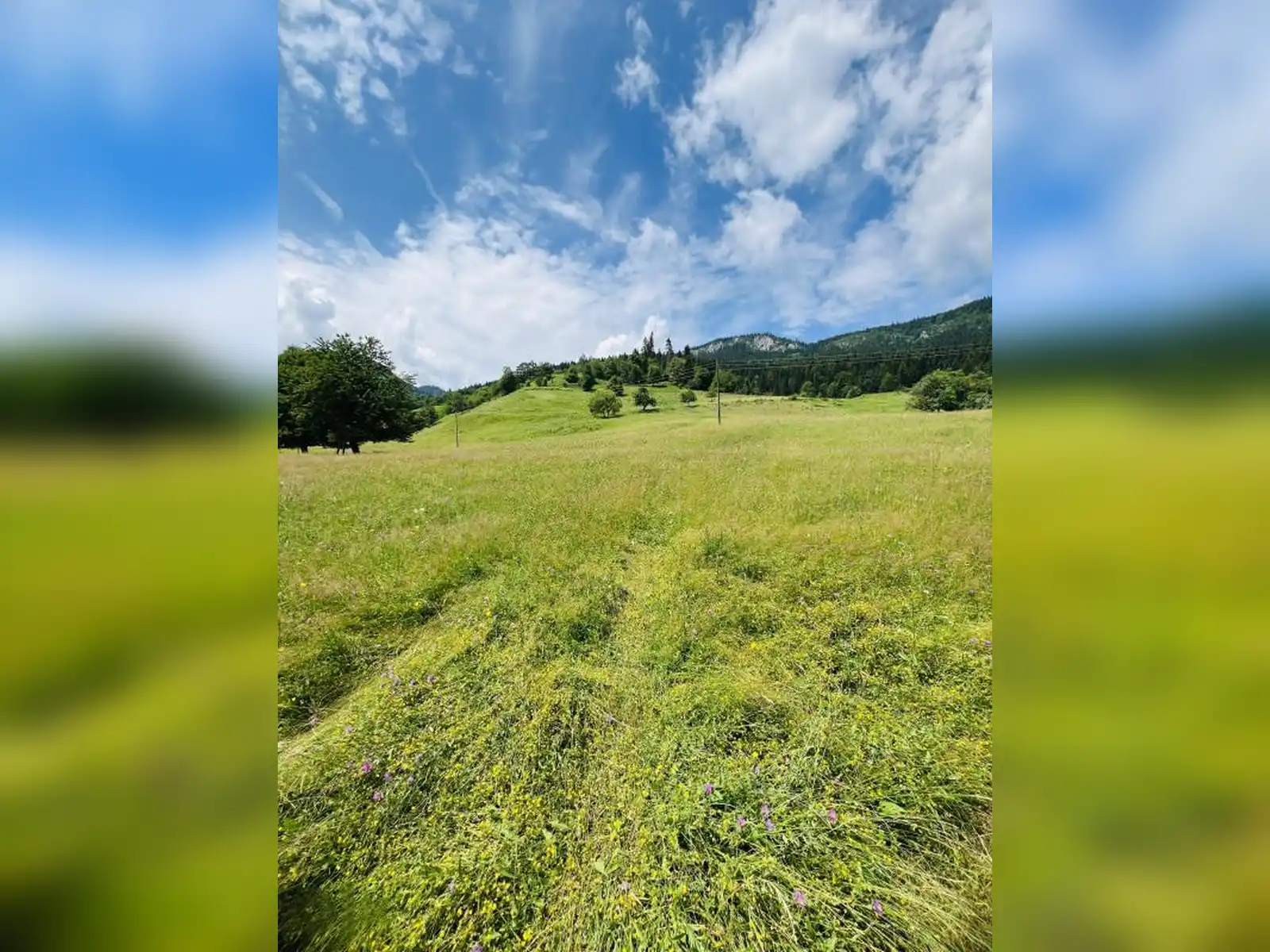 zemljiste-vrhpraca-pale-5000m2