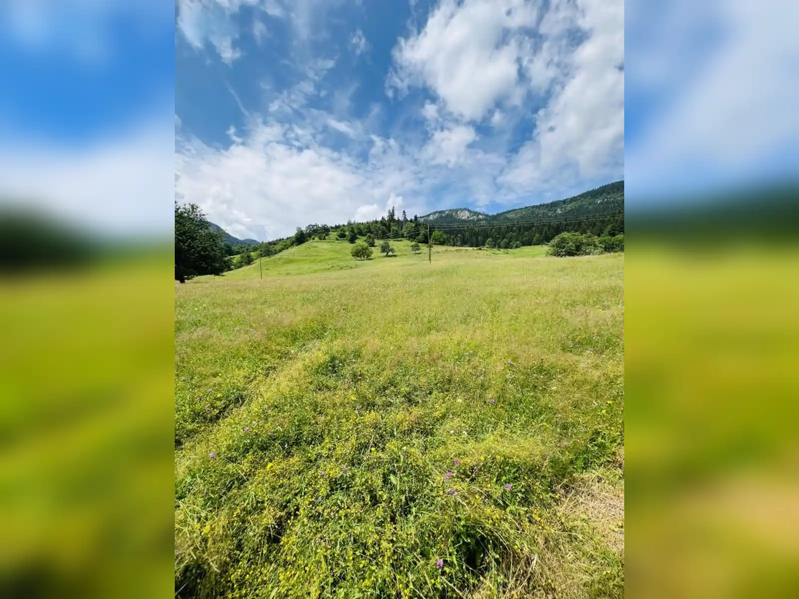 zemljiste-vrhpraca-pale-5000m2