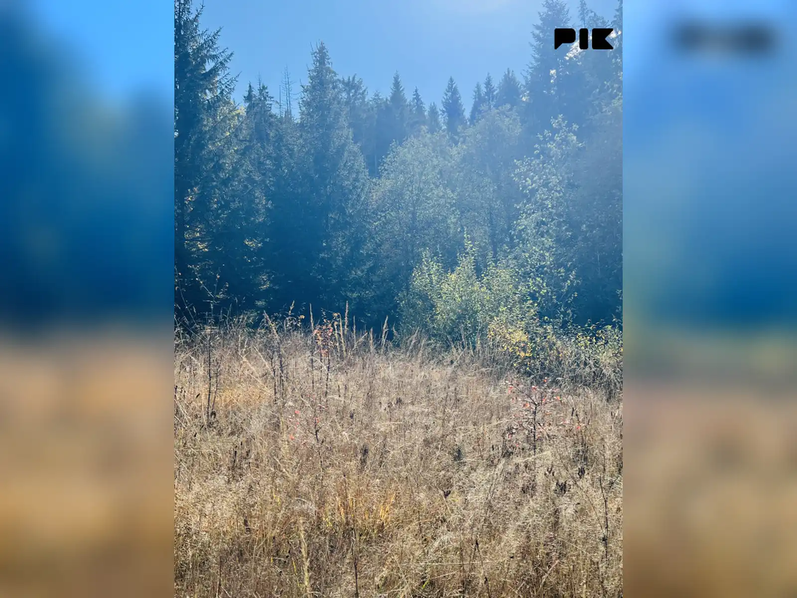 zemljiste-stara-stanica-pale-3000m2