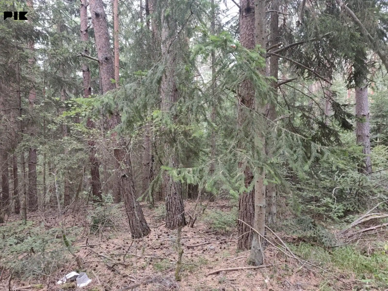 zemljiste-sainovici-pale-1020m2