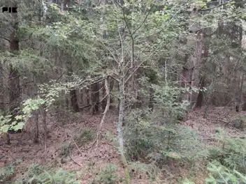 Zemljište Šainovići, Pale 1020m2