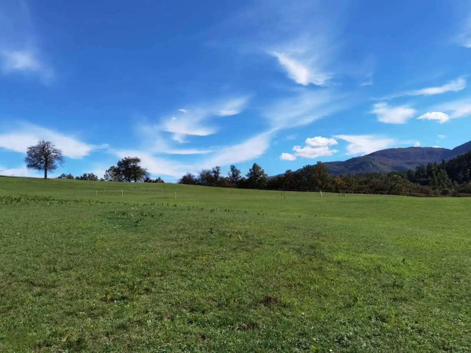 zemljiste-grabovica-vlasenica