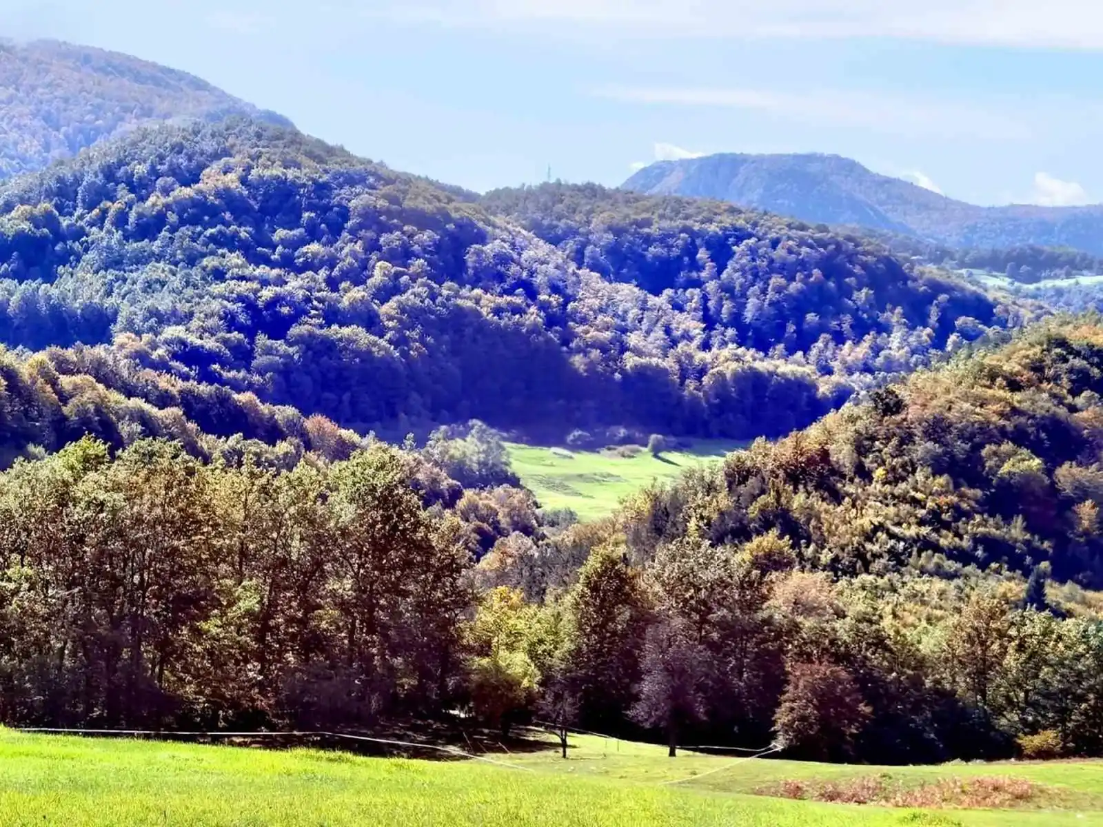 zemljiste-grabovica-vlasenica