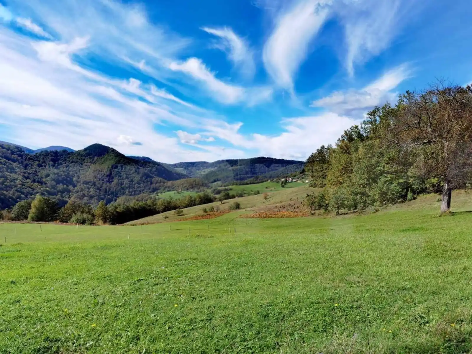 zemljiste-grabovica-vlasenica