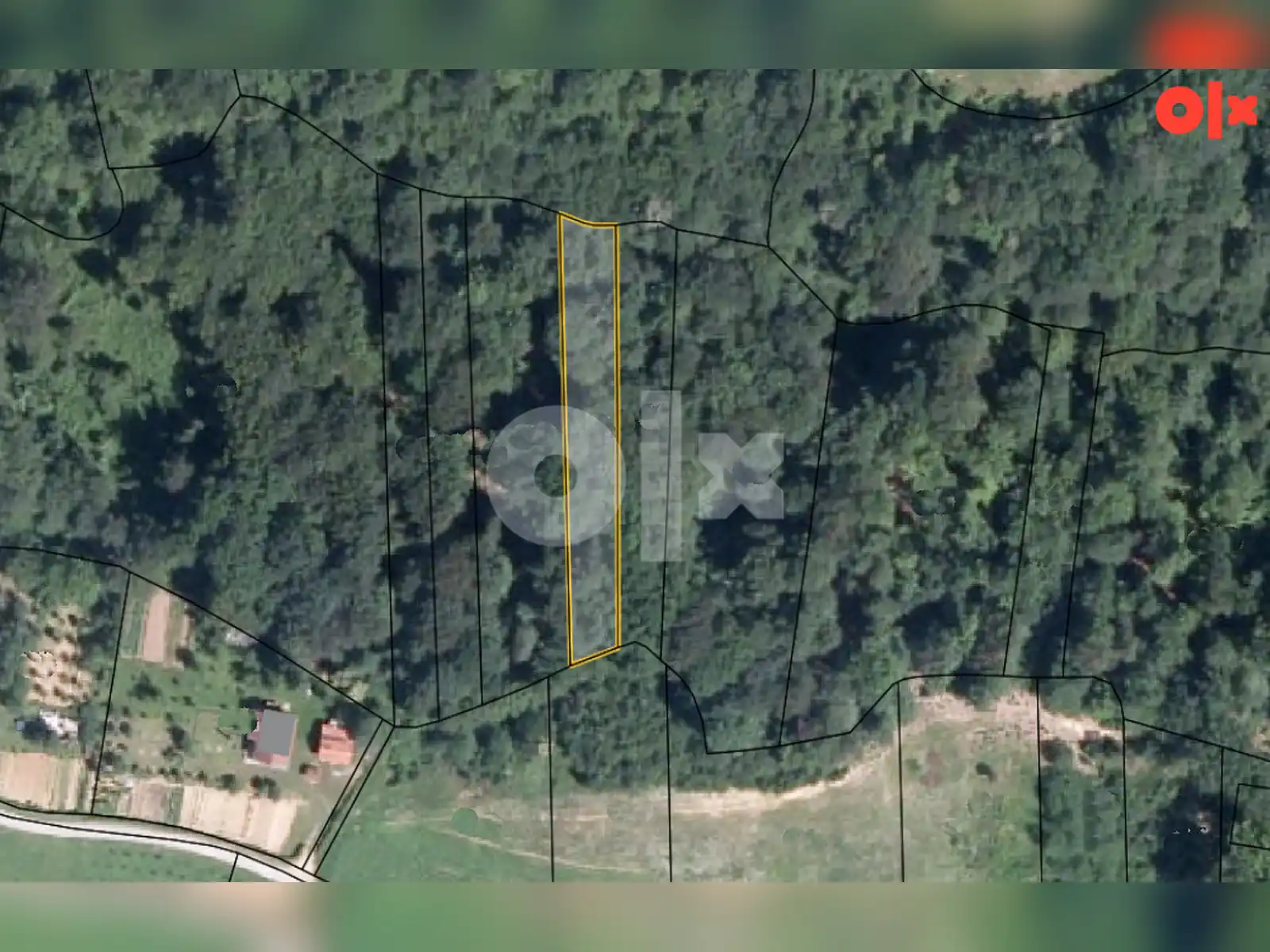 zemljiste-sa-sumom-dragocaj-2580m2