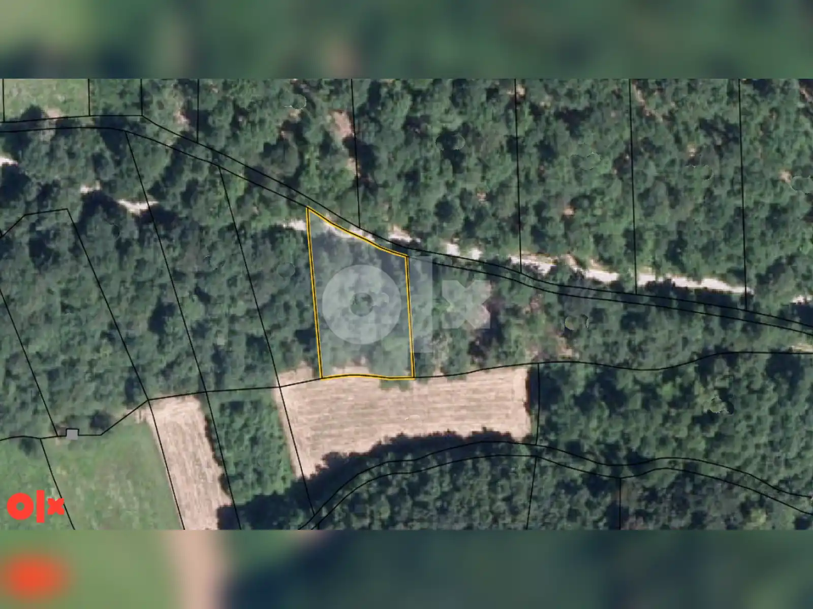 zemljiste-sa-sumom-dragocaj-2580m2
